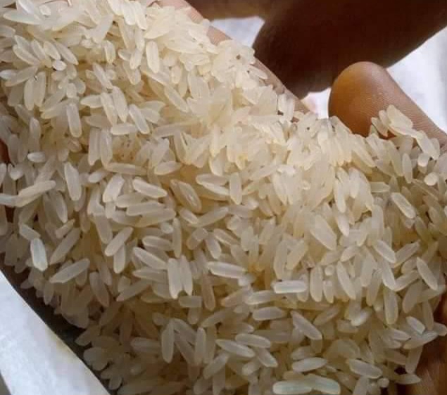 RICE